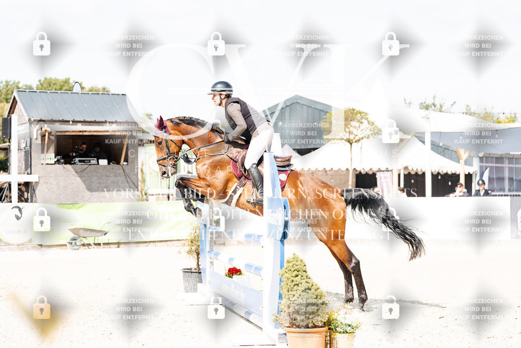 CK908647 | Turnierfotografie Pferdefotografie Trier Rheinland-Pfalz Pferdesport Reitsport Tierfotografie Sportfotografie Pferdevideo Pferdevideografie Equestrianvideography equestrianphotography  - Realisiert mit Pictrs.com