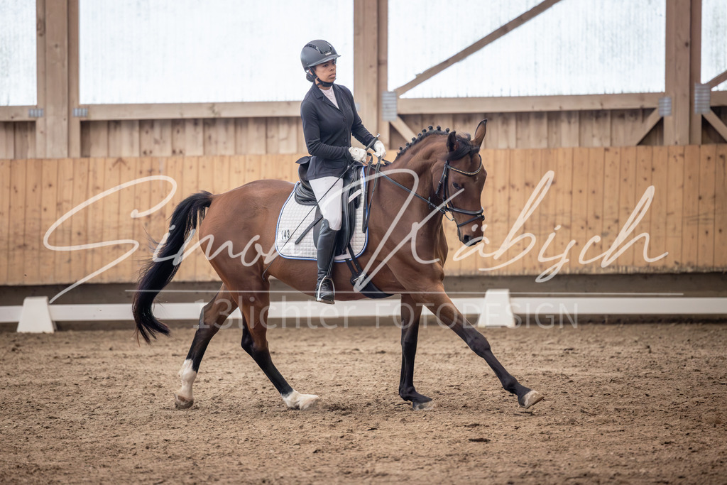 20251011-_3LI0440 | Tierfotografie Pferde, Hunde, Katzen, Haustiere.
Turnierfotografie Reitturniere, Reiten, Springreiten, Dressur in Hanau, dem Main-Kinzig-Kreis und dem Rhein-Main- Gebiet um Frankfurt