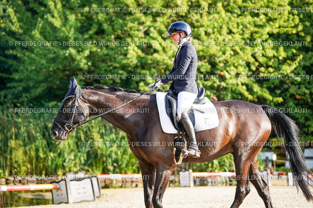 DSC08277 | Pferdegrafie