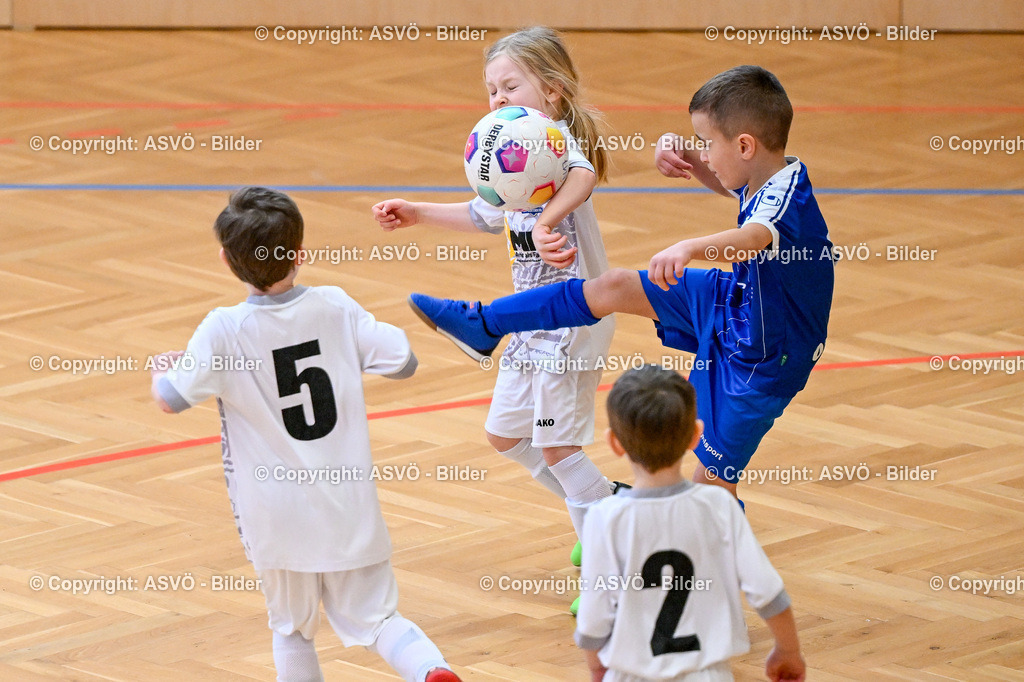 ASVÖ_ Fussball Nachwuchs Hallenturnier 2026_ SV Gallneukirchen_ 28.02.2026-103 | 28.02.2026, Gallneukirchen, AUT, ASVÖ, Fussball Nachwuchs Hallenturnier 2026, SV Gallneukirchen im Bild Teilnehmer U7©Harald Dostal / fodo.media - Realisiert mit Pictrs.com