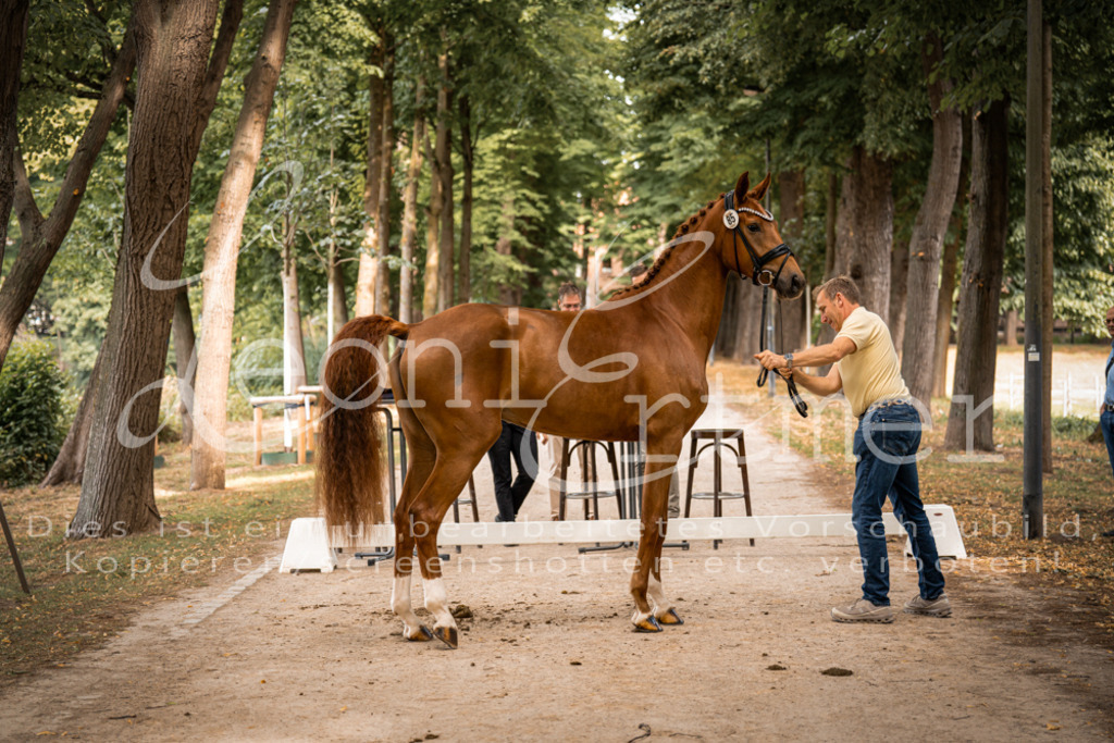 FrPfM00089 | Leoni Ertmer Photography - Realisiert mit Pictrs.com