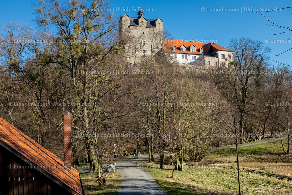 10049-2594 - Schloßpark Ballenstedt | Stockfoto und Bilderpool mit Bildmaterial aus Deutschland, dem Harz, Halberstadt, Quedlinburg, Wernigerode und weltweit. Qualitativ hochwertige und professionelle Fotos anschauen und kaufen. - Realisiert mit Pictrs.com