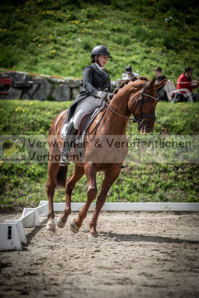 DSC_2603 | equestrian-live-com