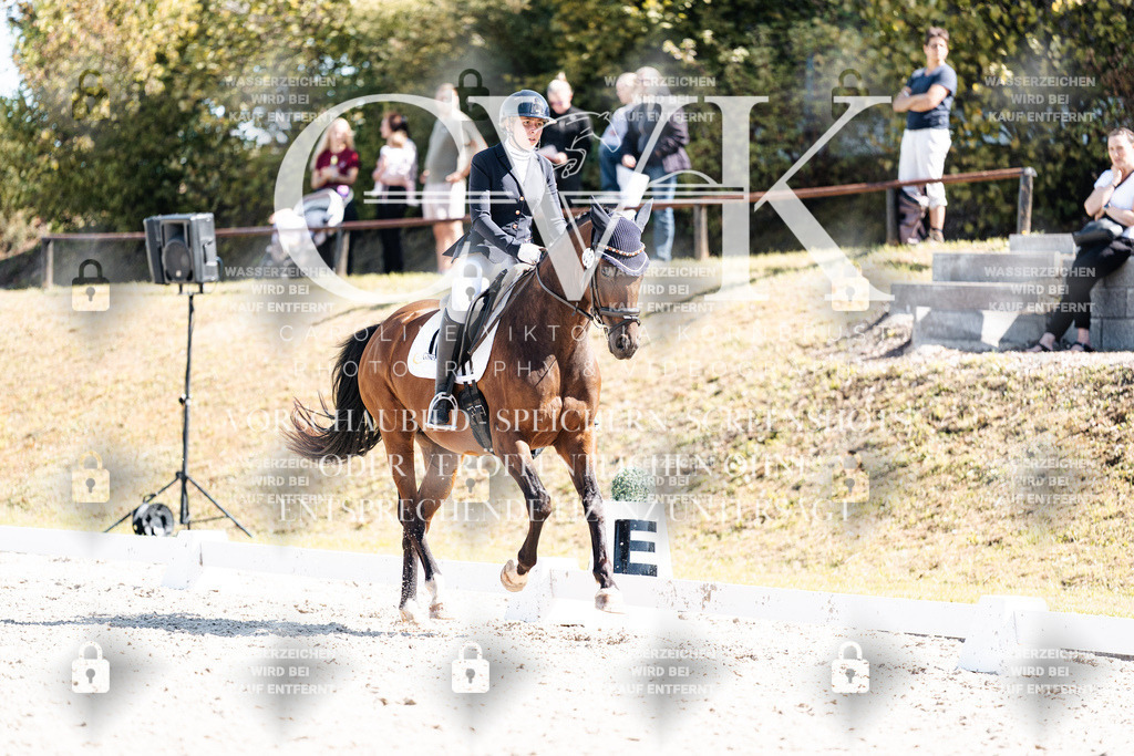 CK903954 | Turnierfotografie Pferdefotografie Trier Rheinland-Pfalz Pferdesport Reitsport Tierfotografie Sportfotografie Pferdevideo Pferdevideografie Equestrianvideography equestrianphotography  - Realisiert mit Pictrs.com