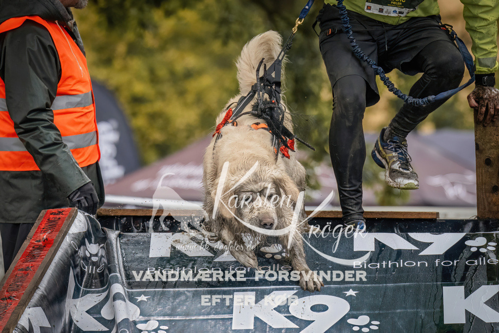 1202_ZZ94090 | kk-dogfotos