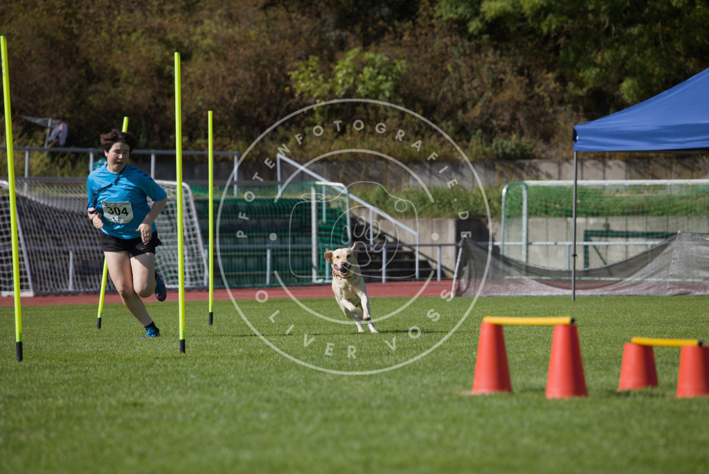 0L8A7597 | Hundefotografie, Tierfotograf, Pfotenfotografie, Fotoshooting Hund, Hunde Portrait, Hundesport, Hundeportraits, Heideshooting, Hunde, Sportfotograf, Hundefotograf, Turnierhundsport, THS,  - Realisiert mit Pictrs.com