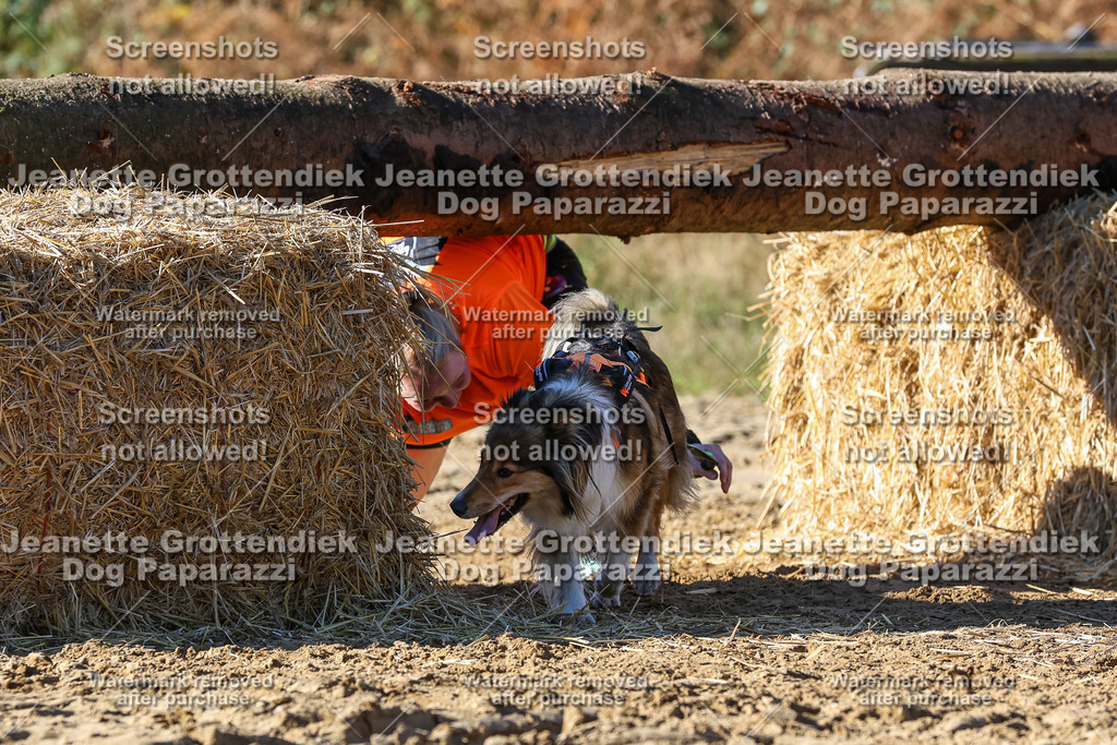 Dog Paparazzi - Strongdog 10-25-2604 | Dog Paparazzi Jeanette Grottendiek Fotografie & Videografie - Realisiert mit Pictrs.com