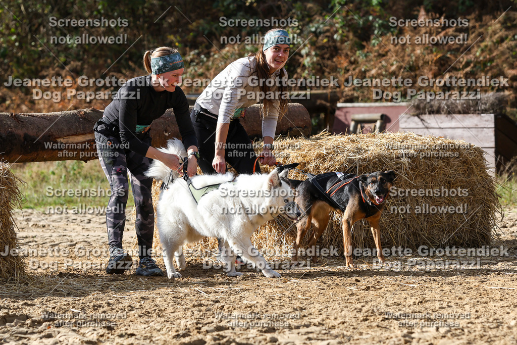 Dog Paparazzi - Strongdog 10-25-5667 | Dog Paparazzi Jeanette Grottendiek Fotografie & Videografie - Realisiert mit Pictrs.com