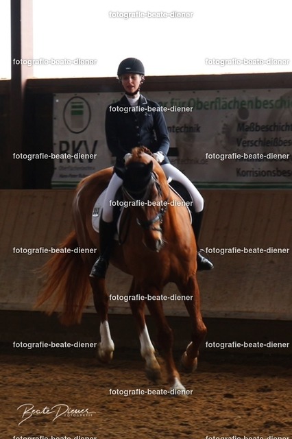 JugendTrophy0241 | Fotografie, Tiere, Hunde, Katzen, Pferde, Sportfotografie, Fotosession, Tierfotografie, Turnierfotografie, Fotografin, Fotograf - Realisiert mit Pictrs.com