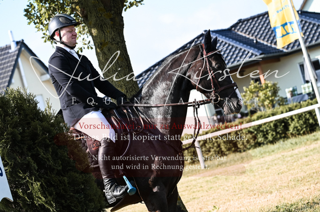 DSC_7515 | Pferde- und Turnierfotografie in Westsachsen. Pferdeportraits, Auftragszeichnungen und intuitive Kunst.