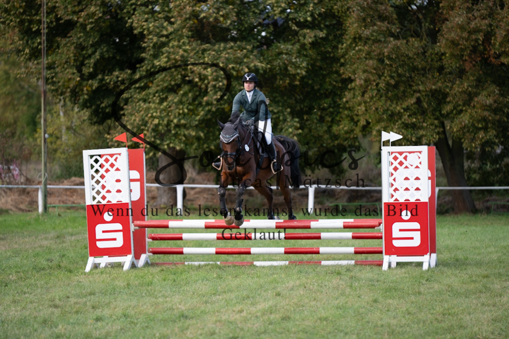 A7V06489 | Pferdefotograf