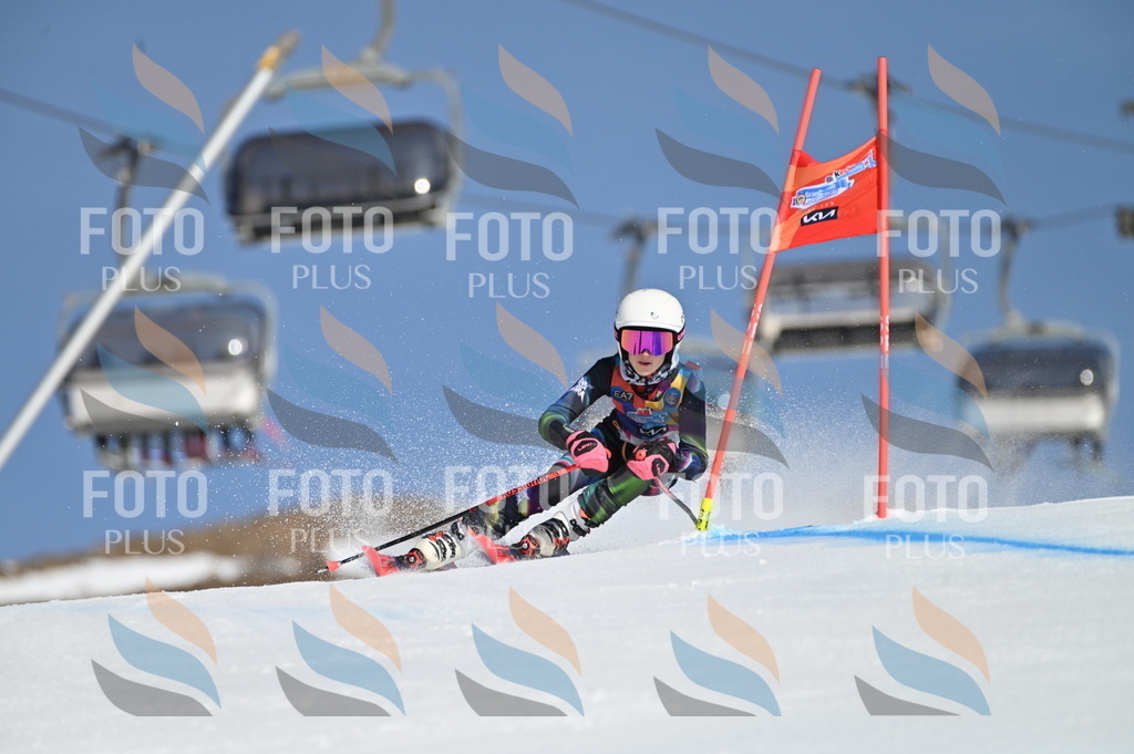 BGV_7786 | holidayphoto