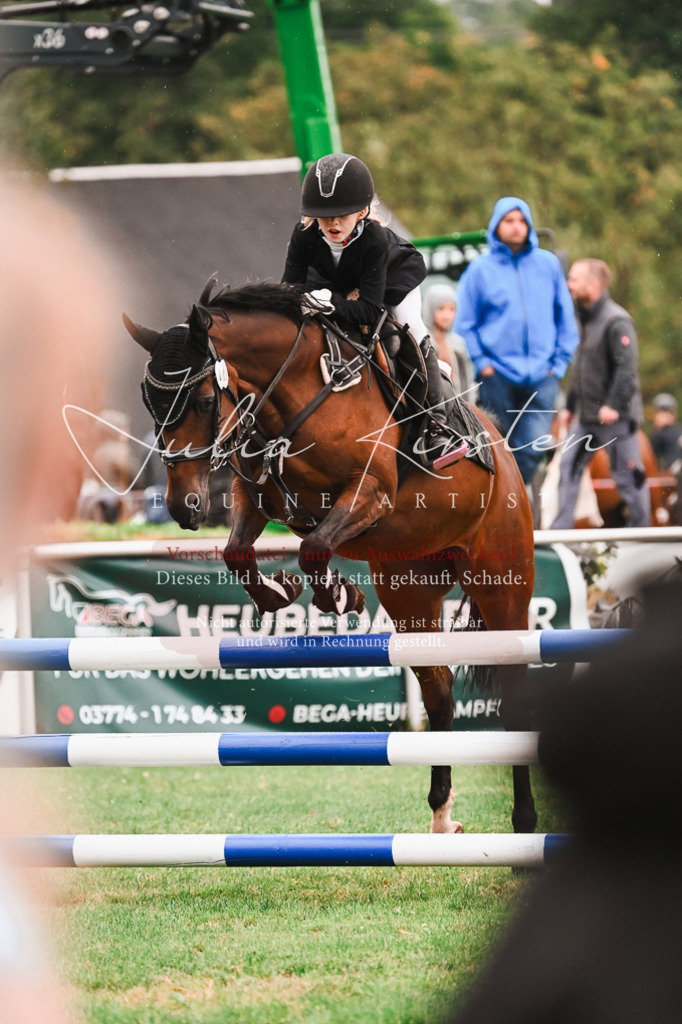 DSC_6278 | Pferde- und Turnierfotografie in Westsachsen. Pferdeportraits, Auftragszeichnungen und intuitive Kunst.
