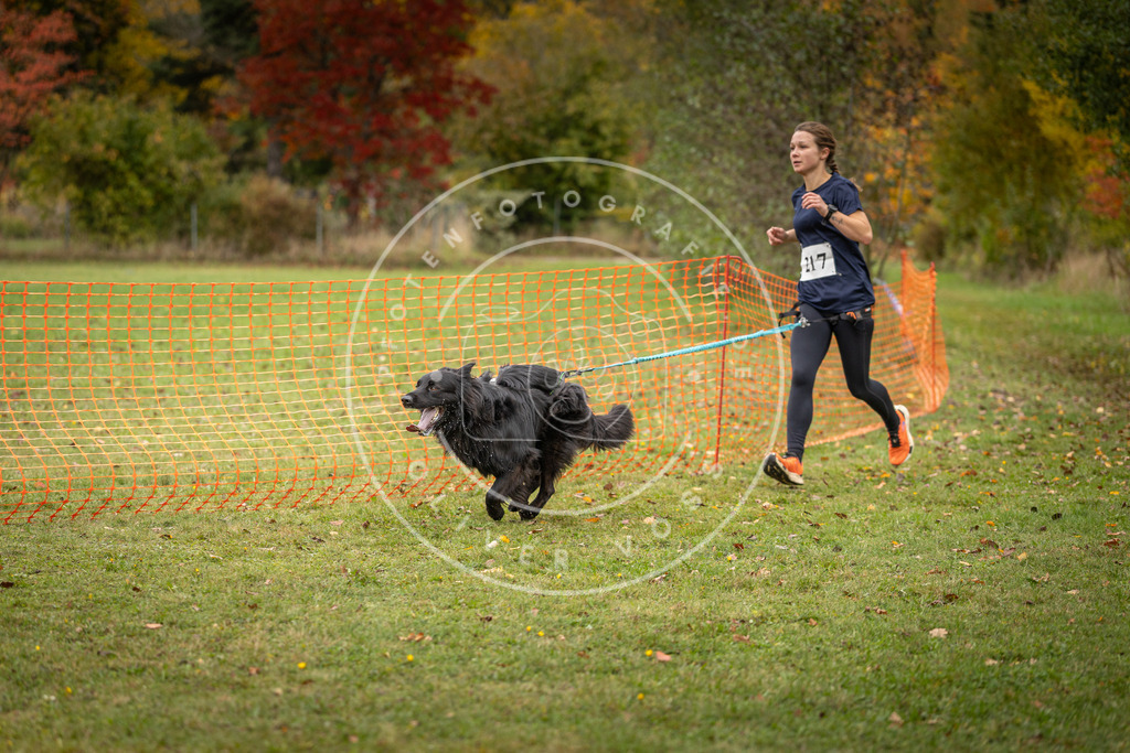 Pfotenfotografie_DV3A4776 | Hundefotografie, Tierfotograf, Pfotenfotografie, Fotoshooting Hund, Hunde Portrait, Hundesport, Hundeportraits, Heideshooting, Hunde, Sportfotograf, Hundefotograf, Turnierhundsport, THS,  - Realisiert mit Pictrs.com