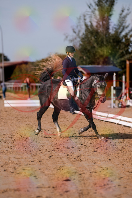 2026_10_03_Siefer-Hof_120336_Z81_05172658 | Professionelle Reitsport-, Turnier- und Eventfotografie von Robert Broda. Galerien mit ausgewählten und bearbeiteten Bildern direkt online ansehen und bestellen.
