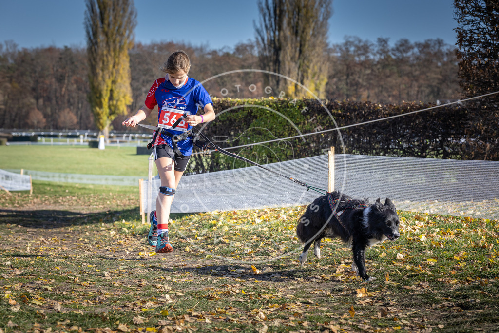 CaniXpix_DV3A8778 | Hundefotografie, Tierfotograf, Pfotenfotografie, Fotoshooting Hund, Hunde Portrait, Hundesport, Hundeportraits, Heideshooting, Hunde, Sportfotograf, Hundefotograf, Turnierhundsport, THS,  - Realisiert mit Pictrs.com