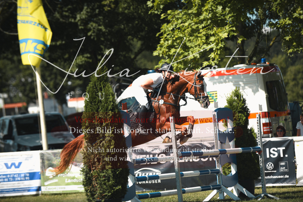 DSC_7129 | Pferde- und Turnierfotografie in Westsachsen. Pferdeportraits, Auftragszeichnungen und intuitive Kunst.