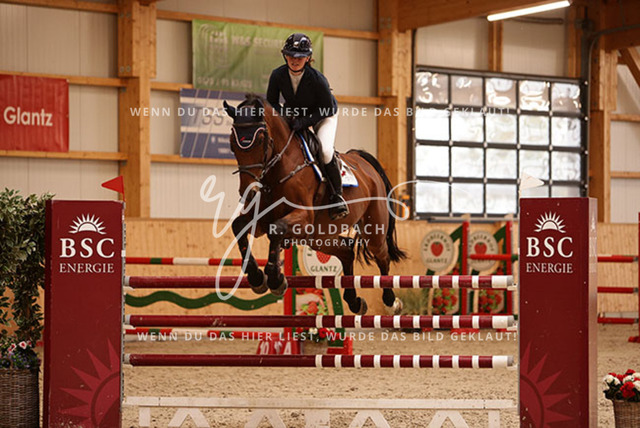 1J2A8729Lilli Plath_ Stakkato_s Diva_ Kn453_ Glantz_ Hohen Wieschendorf | Foto- und Videografie für alles rund ums Pferd. Hochwertige Bilder und Videos vom Spring- und Dressurreiten, Voltigieren & mehr. Jetzt aktuelle Veranstaltungen und Preise im Shop ansehen. - Realisiert mit Pictrs.com