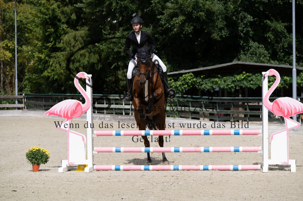 A7V07338 | Turnier/Reitfotograf