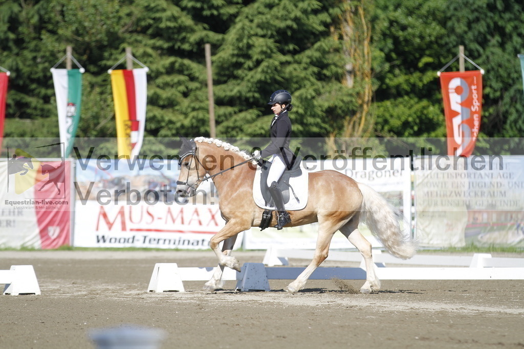 _MG_0466 | equestrian-live-com