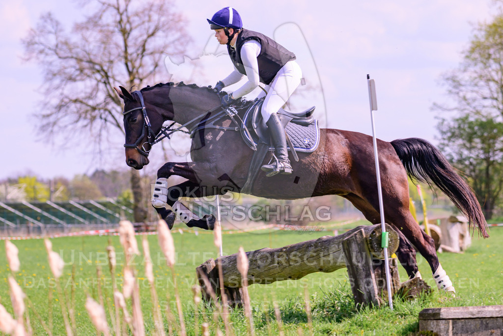18042026-Gernlinden-04-1-0033 | Fokus Hufschlag Fotografie - Realisiert mit Pictrs.com
