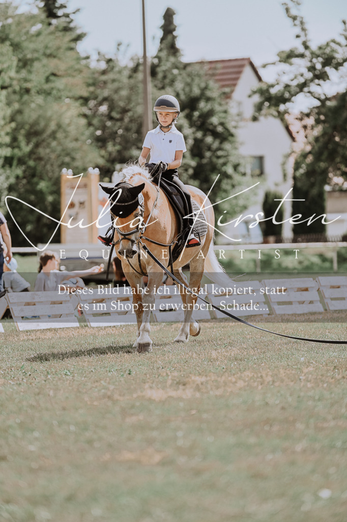 DSC_7765 | Pferde- und Turnierfotografie in Westsachsen. Pferdeportraits, Auftragszeichnungen und intuitive Kunst.