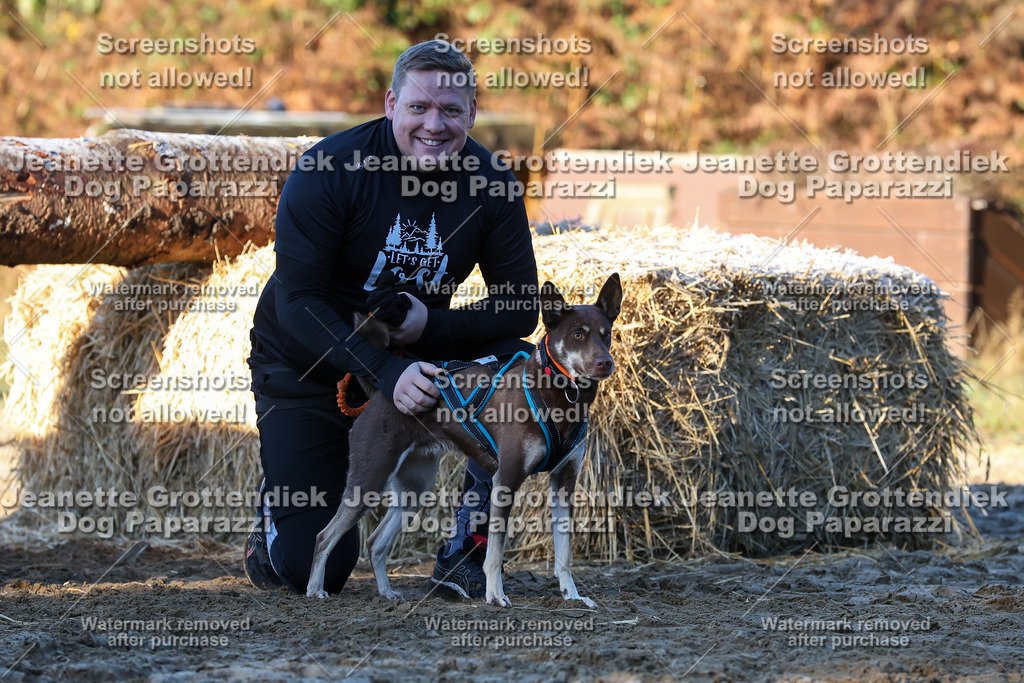 Dog Paparazzi - Strongdog 10-25-716 | Dog Paparazzi Jeanette Grottendiek Fotografie & Videografie - Realisiert mit Pictrs.com