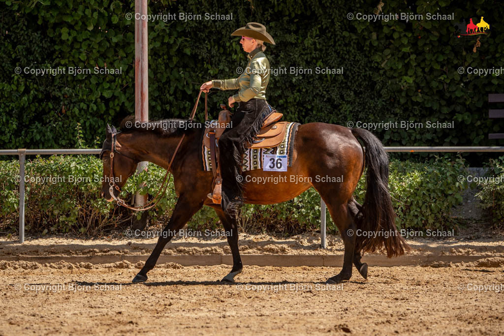 LMS05346 | BS-foto