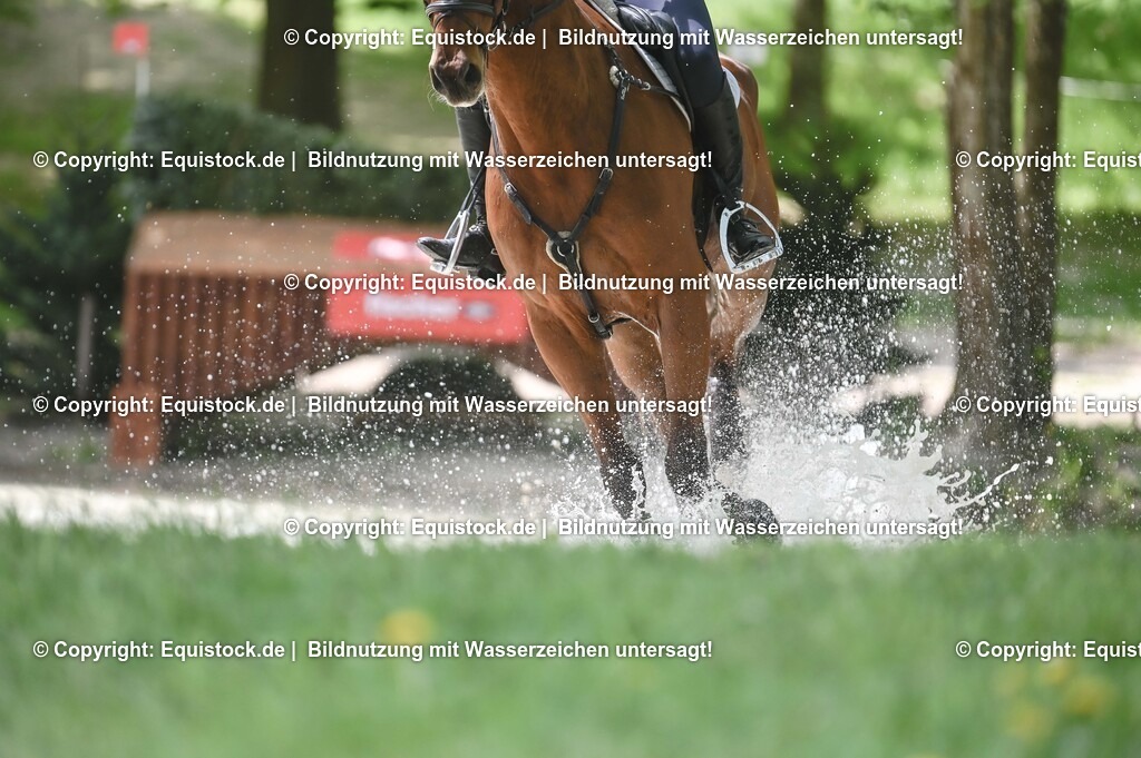 20250517_CCI2_Gelände_1844 | Foto: Thomas Hartig