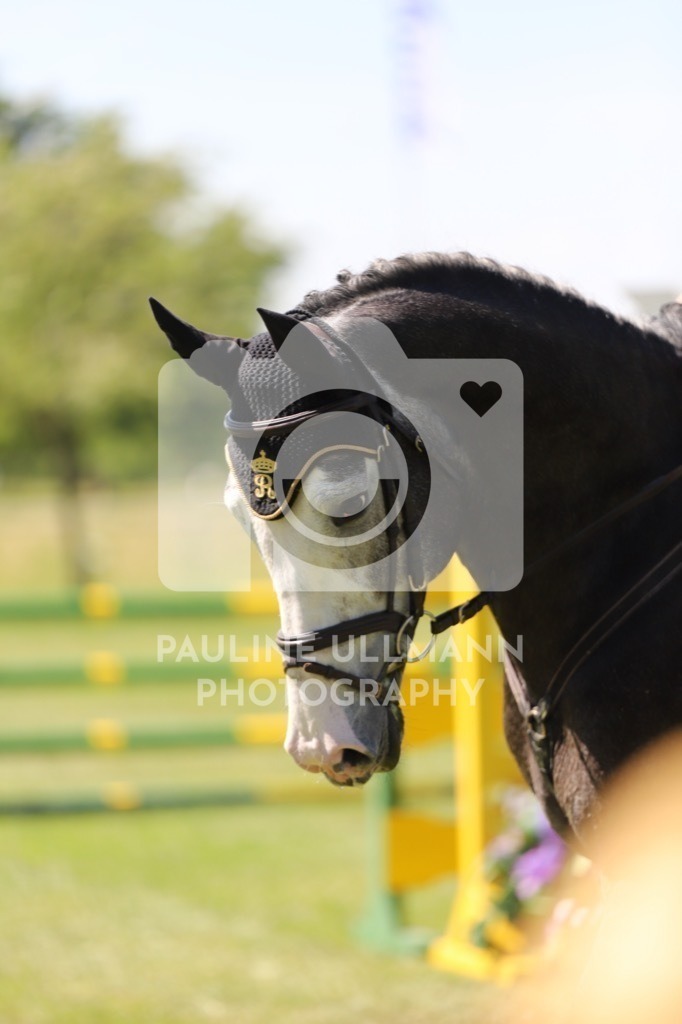 IMG_6342 | Pauline Ullmann Photography - Realisiert mit Pictrs.com