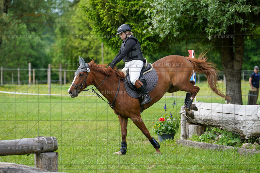 20240518-FAH03918 | Turnierbilder von Niederseon, Turnierfotografen Bayern, Fotoagentur Herrmann, Geländebilder, Reitsportfotografie