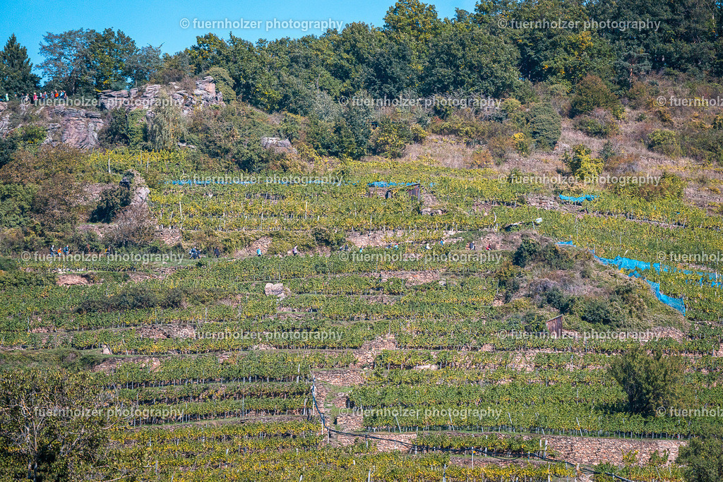 fuernholzer_251004-C2-95 | © Christian Fuernholzer | fuernholzer photography