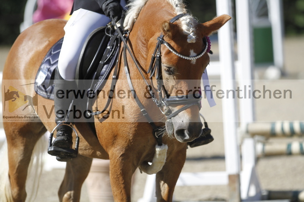 _MG_4377 | equestrian-live-com