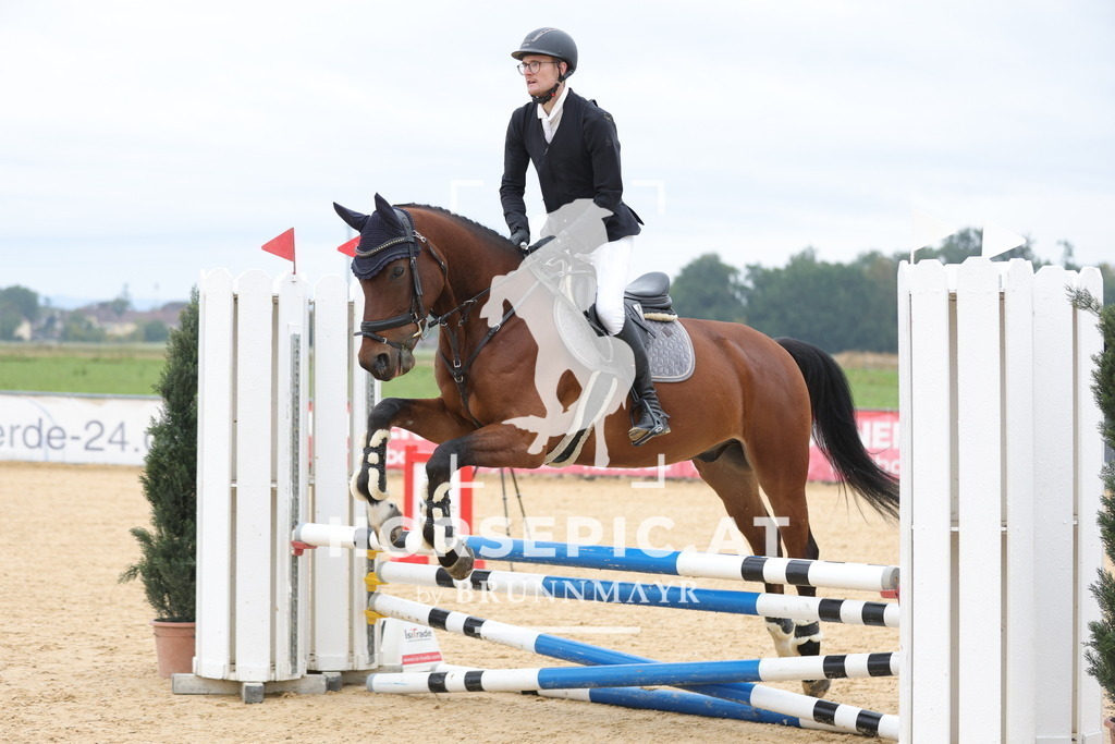 0P6A3598 | Willkommen bei Brunnmayr - Design & Fotografie – Ihrem Spezialisten für Reitturniere und Pferdeveranstaltungen in Oberösterreich, Salzburg und Bayern! Seit über 17 Jahren sind wir leidenschaftlich dabei.