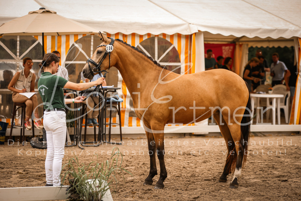 12.So00075 | Leoni Ertmer Photography - Realisiert mit Pictrs.com