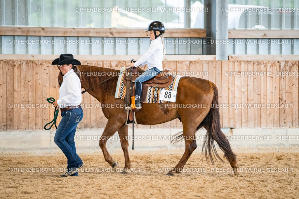 DSC00801 | Pferdegrafie