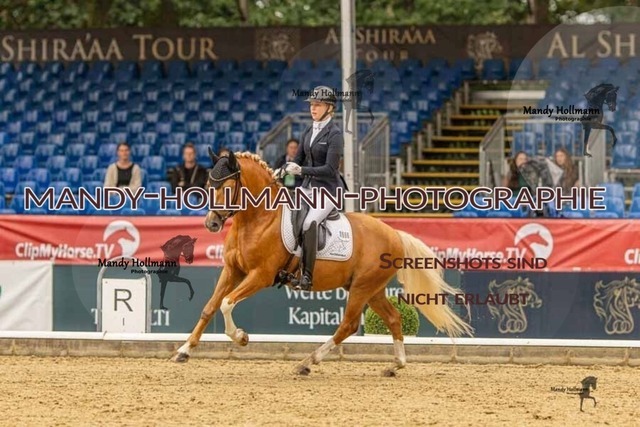 28-8-26 5j DRE-171 | mandyhollmannphotographie