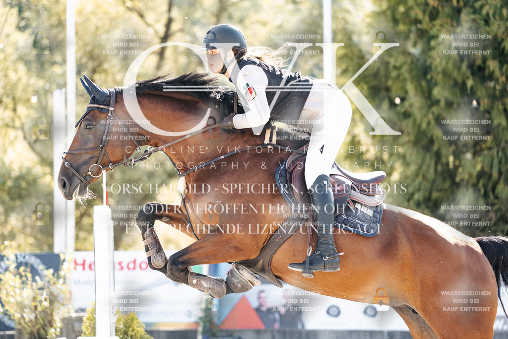 CK904563 | Turnierfotografie Pferdefotografie Trier Rheinland-Pfalz Pferdesport Reitsport Tierfotografie Sportfotografie Pferdevideo Pferdevideografie Equestrianvideography equestrianphotography  - Realisiert mit Pictrs.com