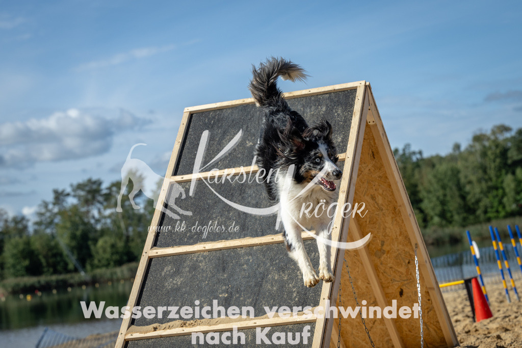 1302_ZZ94050-2 | kk-dogfotos