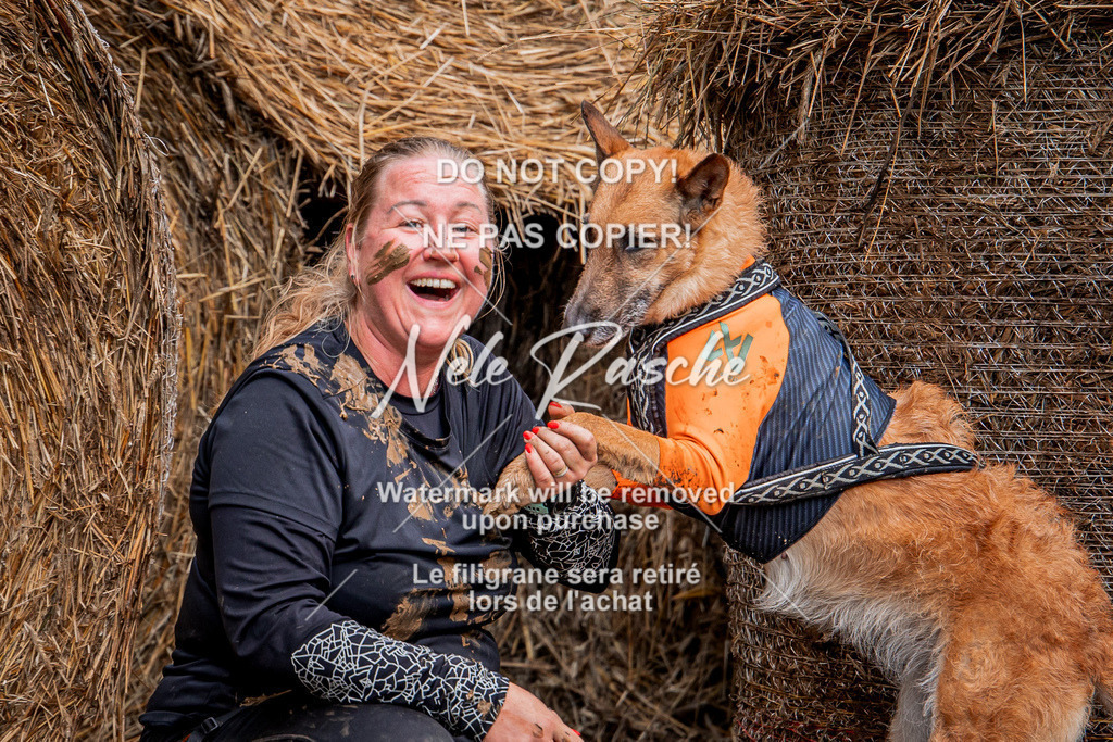 nelerasche_Hunsrück_So09-11_355 | nelerasche