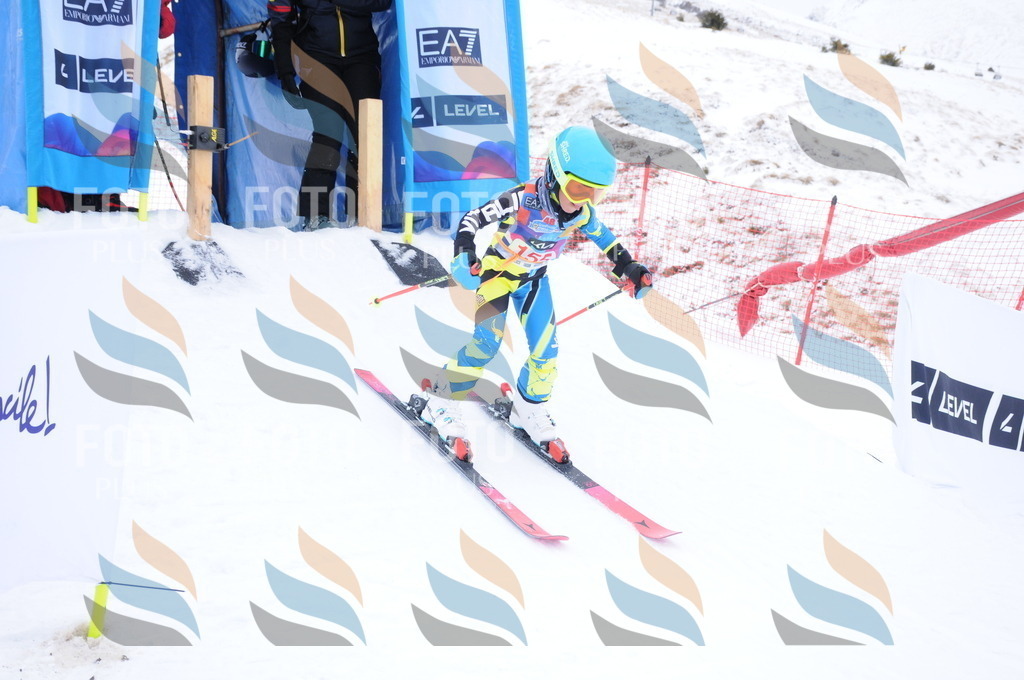 DSC_8792 | holidayphoto