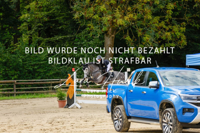 _62_9121 | larahueckfotografie