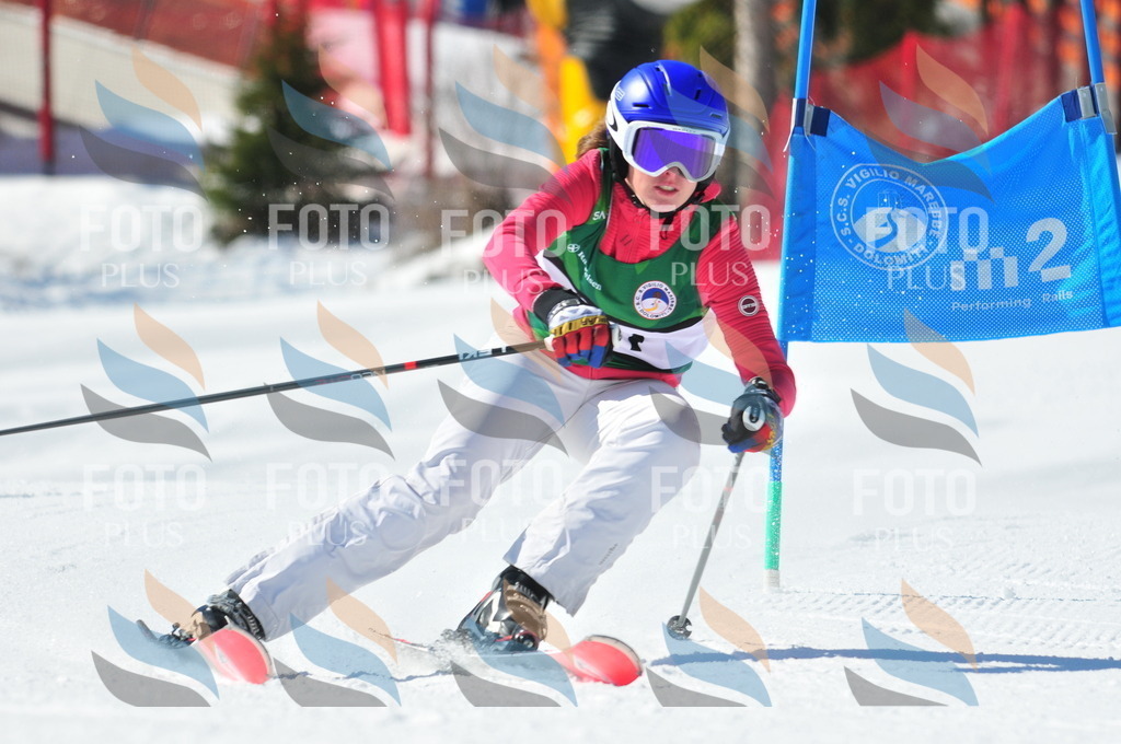 C4180 | holidayphoto