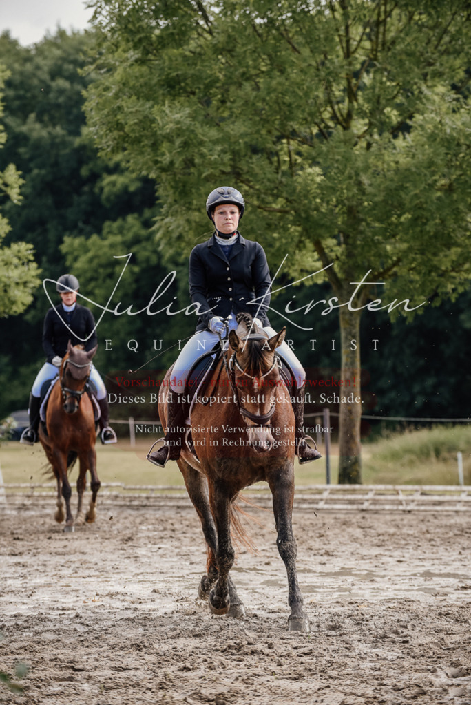 DSC_9250 | Pferde- und Turnierfotografie in Westsachsen. Pferdeportraits, Auftragszeichnungen und intuitive Kunst.