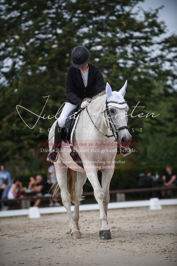 DSC_8518 | Pferde- und Turnierfotografie in Westsachsen. Pferdeportraits, Auftragszeichnungen und intuitive Kunst.