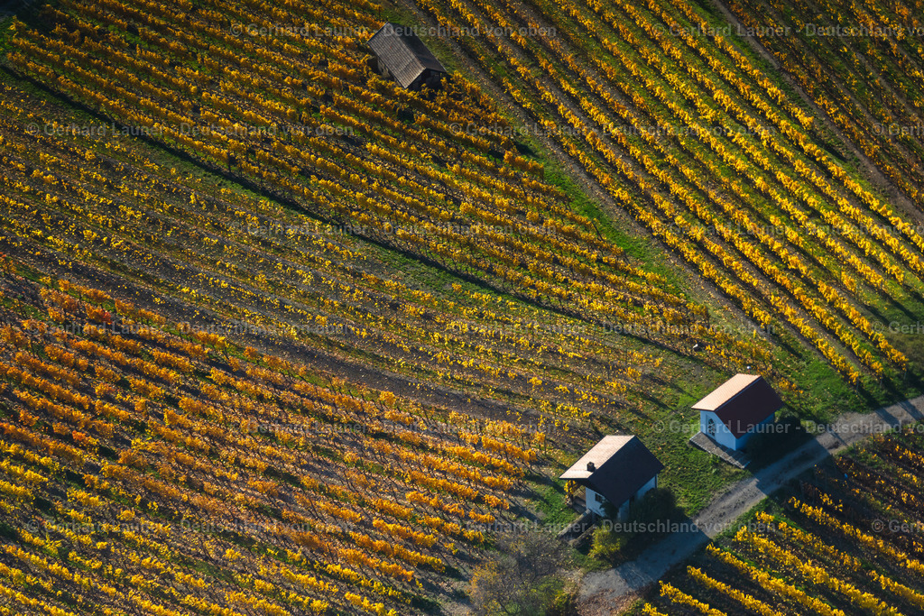 4042772 | Weinberge bei Falkenstein, Weinlage Falkenberg