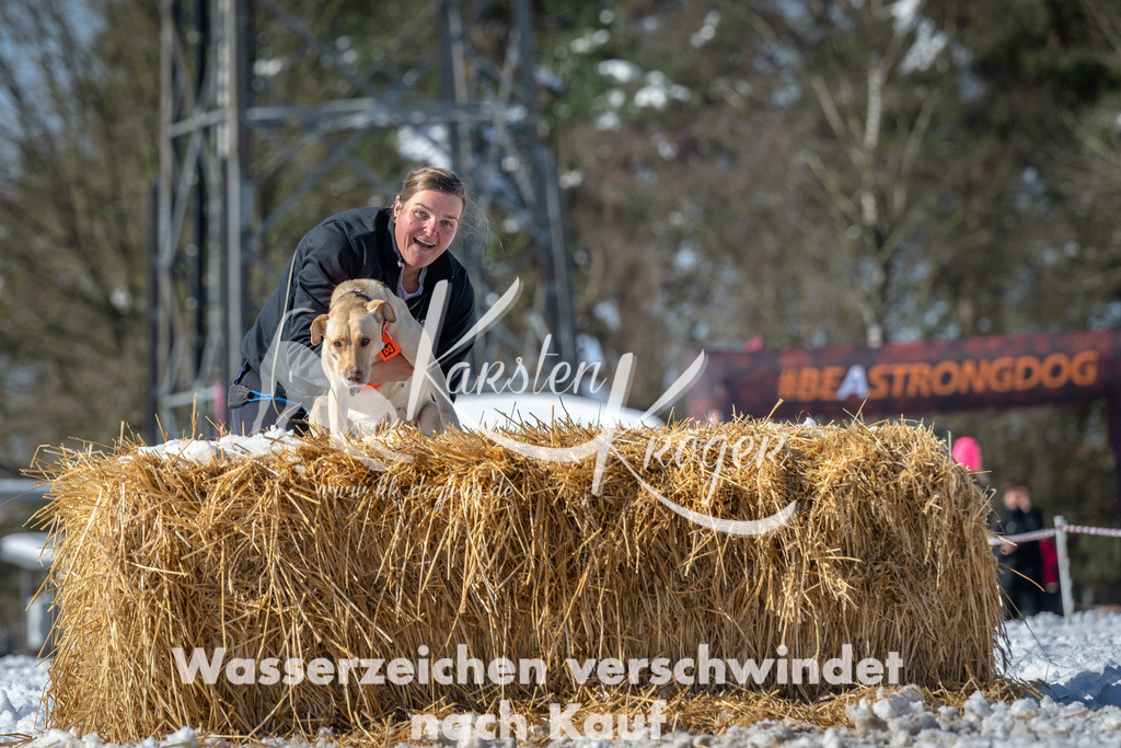 1223_ZZ92472-4 | kk-dogfotos