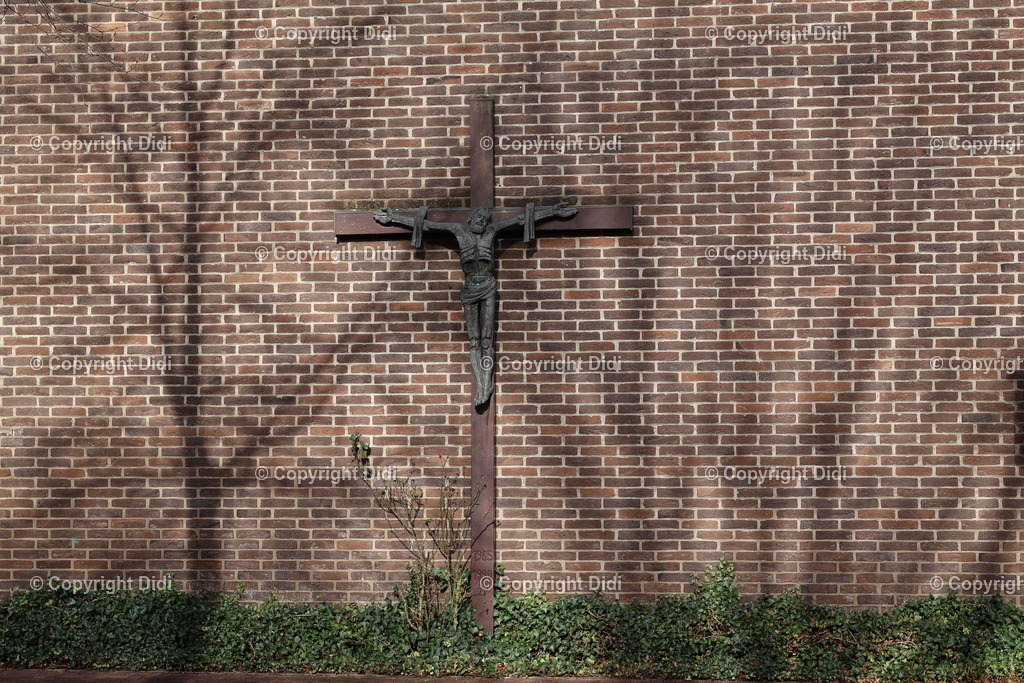 IMG_2078 | Didi - Realisiert mit Pictrs.com