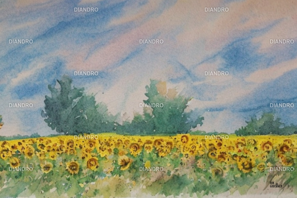 Sonnenblumenfeld NÖ Aquarell | DIANDRO