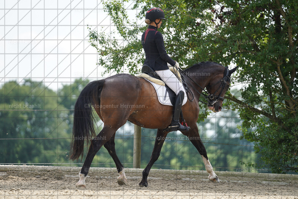 20230826-FAH05983 | Forstinning, 2023, Dressurturnier, Turniersportbilder, Turnierfotografen Bayern, Fotoagentur Herrmann, Reitsportfotografie, Turnierbilder